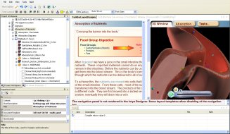 Editor Screenshot - programming interactivity for the absorption simulation